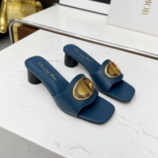 Christian Dior Slippers